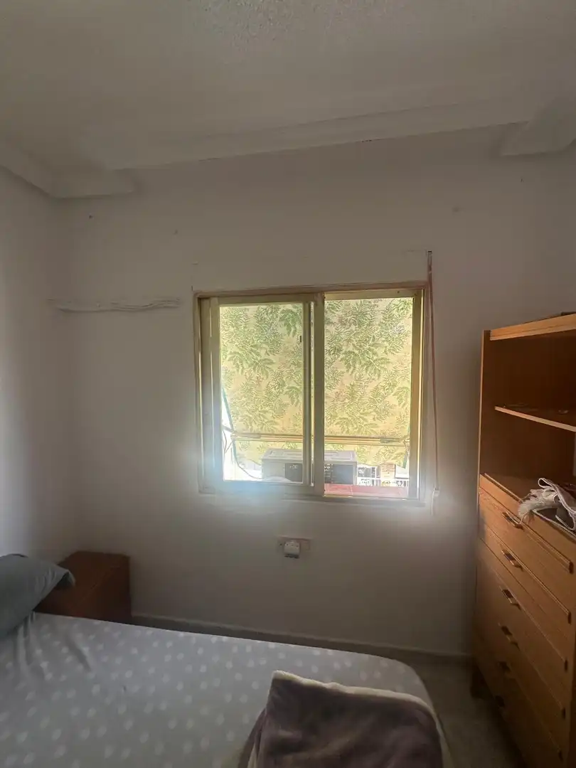 Piso en venta en Pla - Carolinas, imagen 11