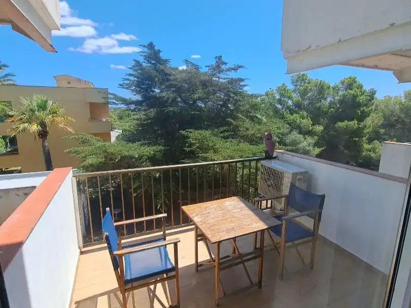 Apartament en venda a Avinguda de la platja 12, imagen 4