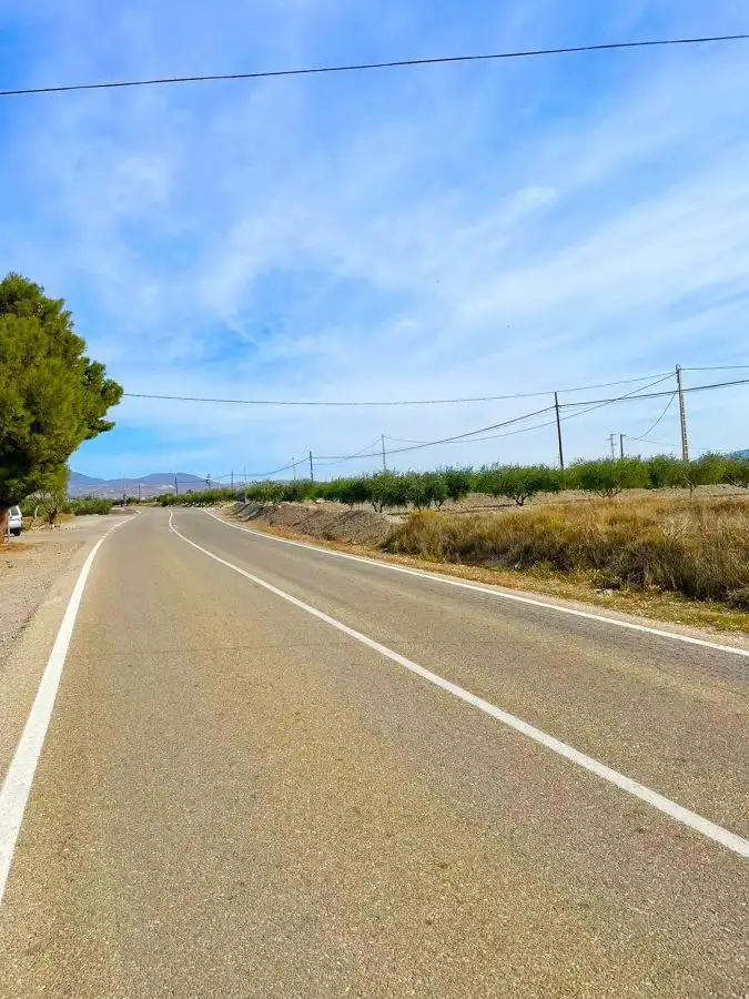 Rural land for sale in Huércal-Overa, imagen 3