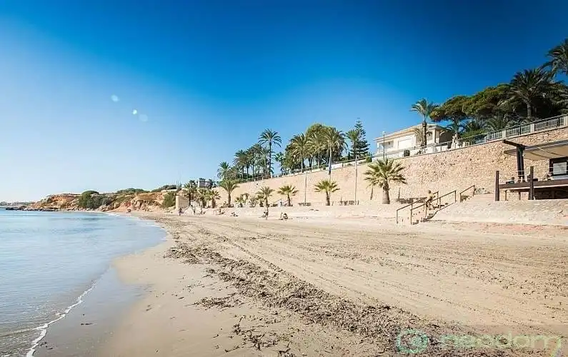 Exterior view of Houses for sale in Orihuela  with Jacuzzi