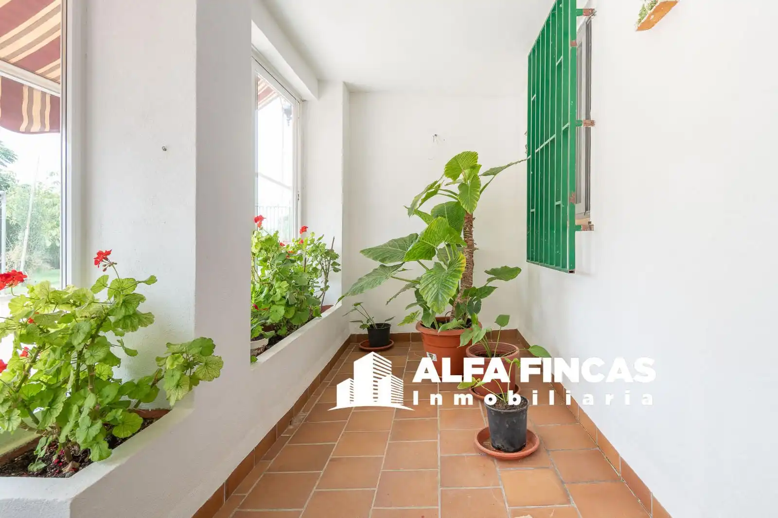 Vista exterior de Casa o xalet en venda en El Provencio   amb Calefacció, Jardí privat i Terrassa