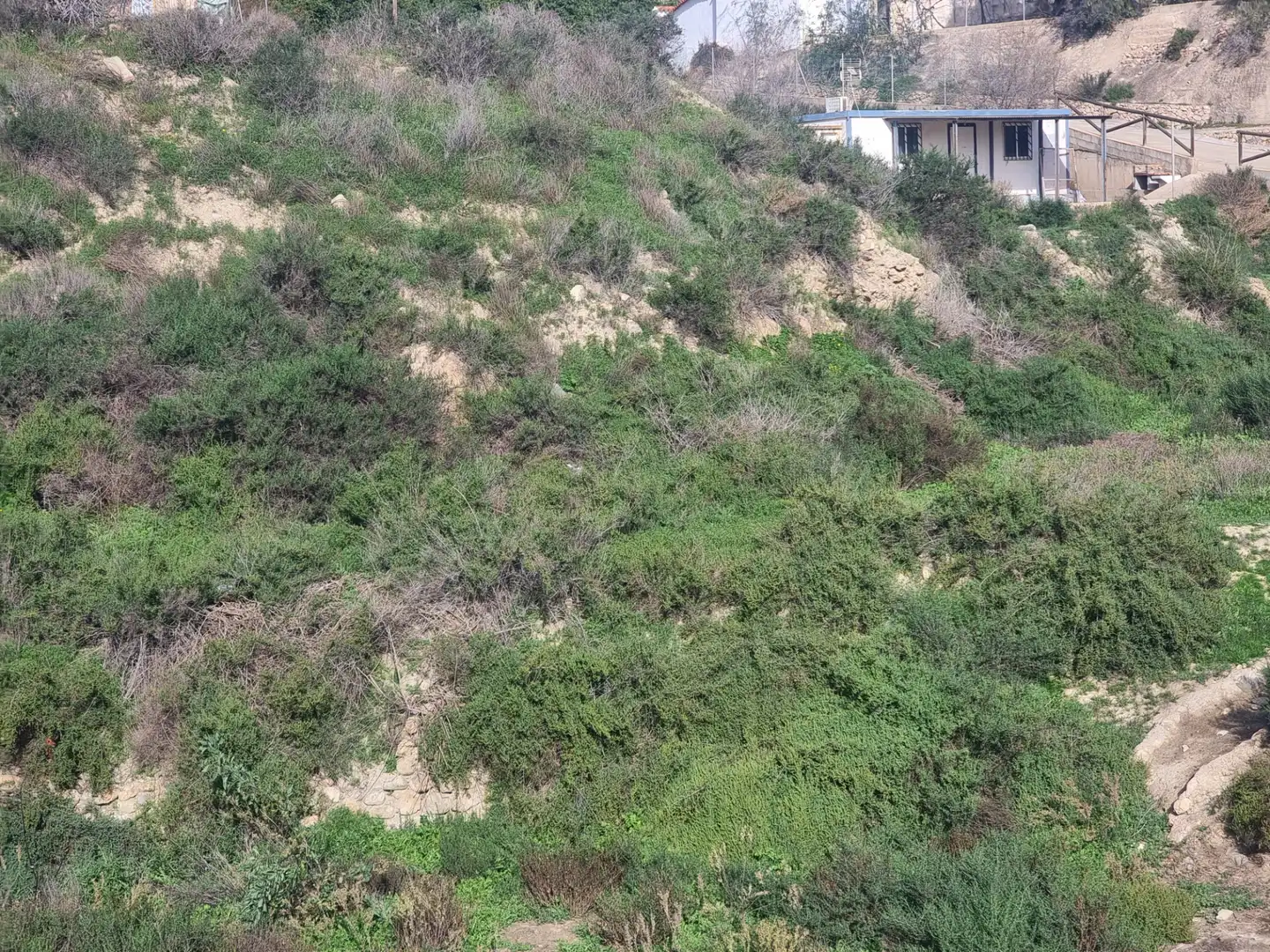 Rural land for sale in Terque, imagen 17