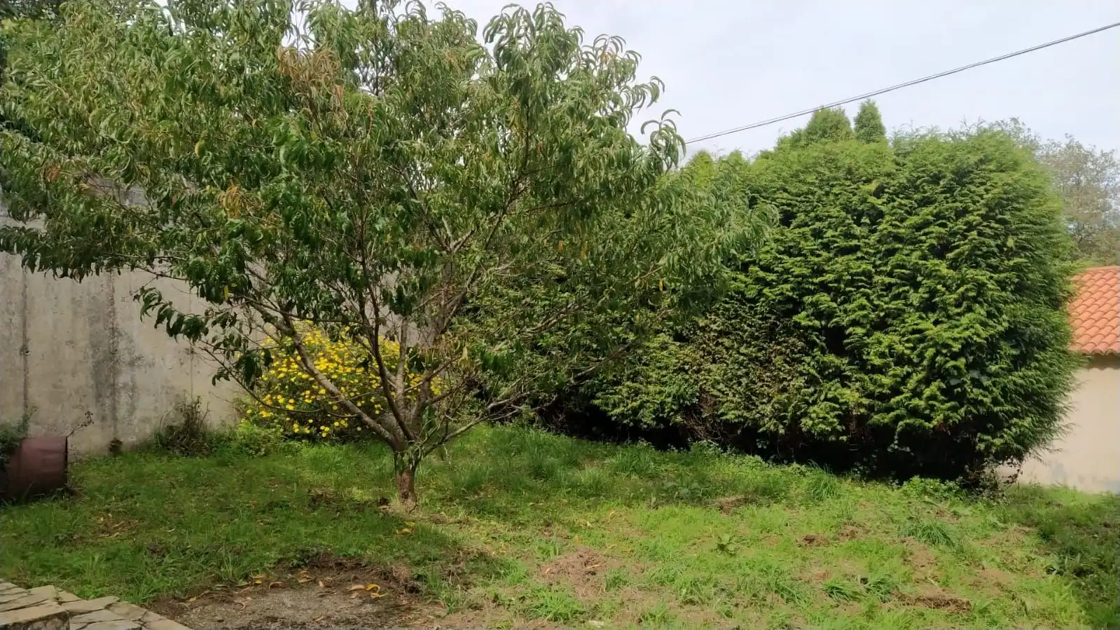 Casa con jardín en venta en Aldea a Ortigueira 10, imagen 6