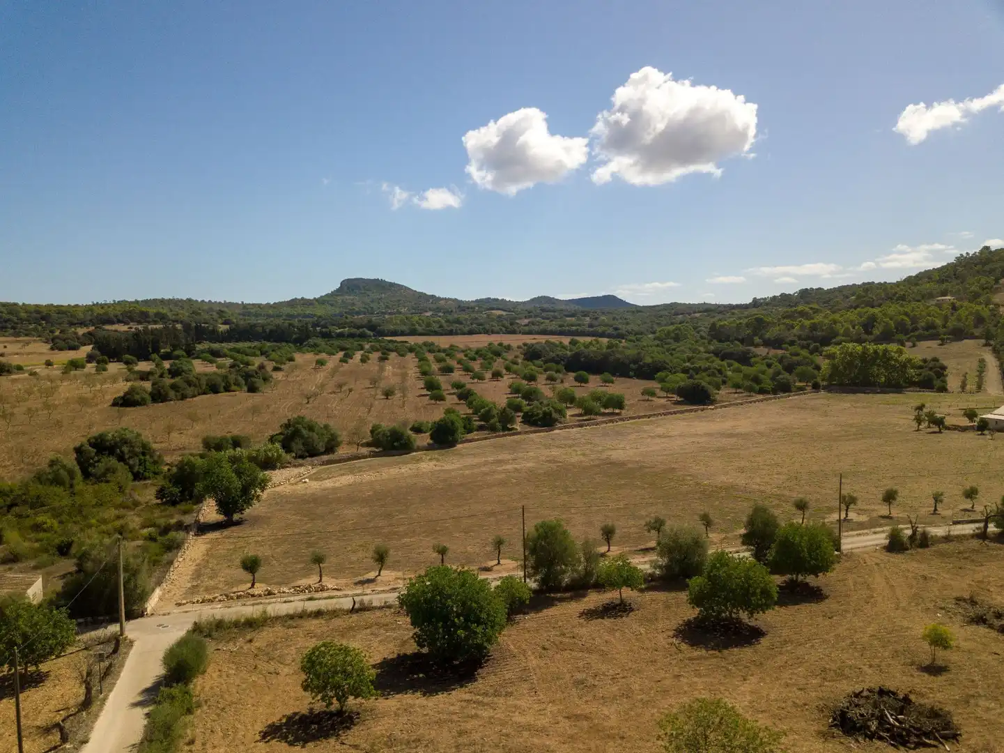 Rural land for sale in Son Vives, imagen 12