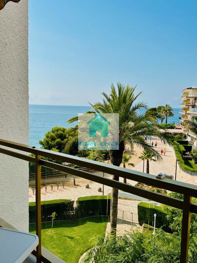 Vista exterior de Apartament de lloguer en Mont-roig del Camp amb Aire condicionat, Calefacció i Jardí privat