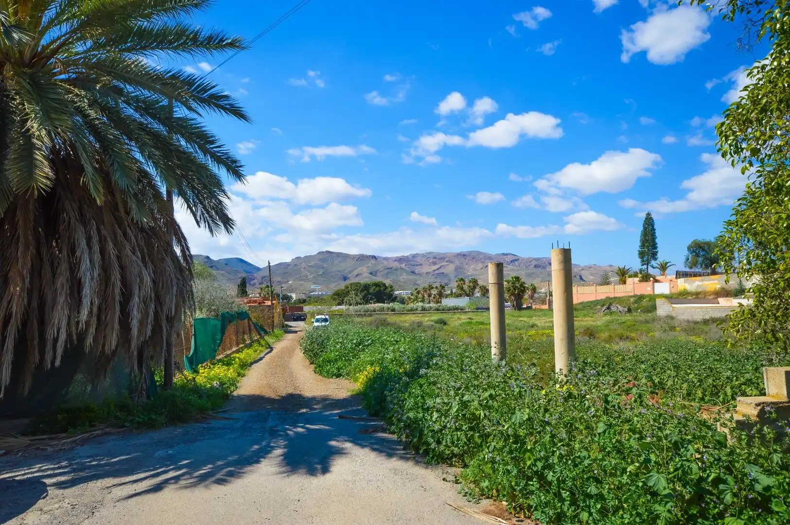 Vista exterior de Finca rústica en venda en Pechina amb Aire condicionat, Jardí privat i Terrassa