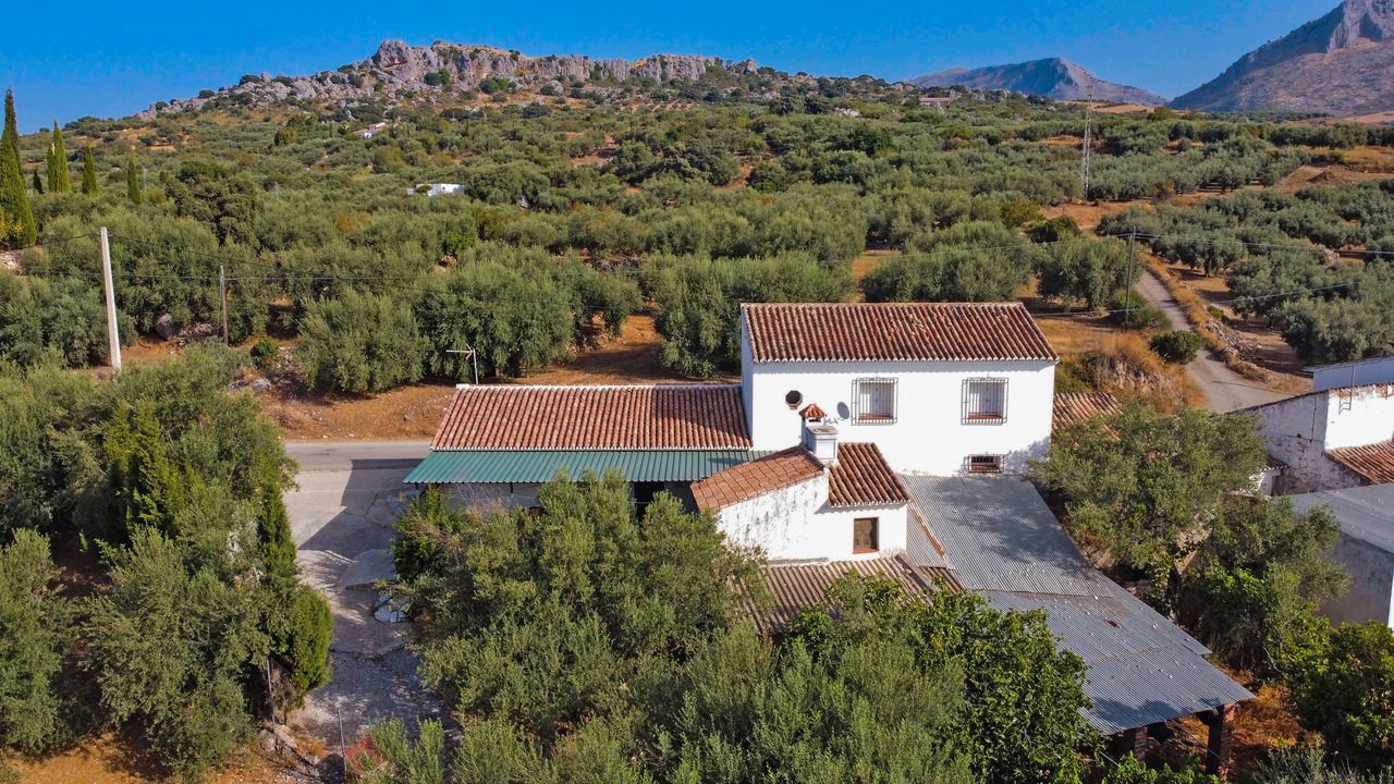 Exterior view of House or chalet for sale in Periana