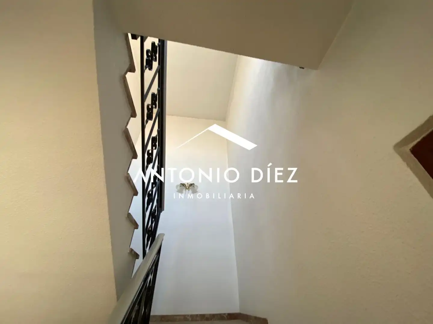 Vista exterior de Casa o chalet en venta en Aspe con Terraza y Balcón