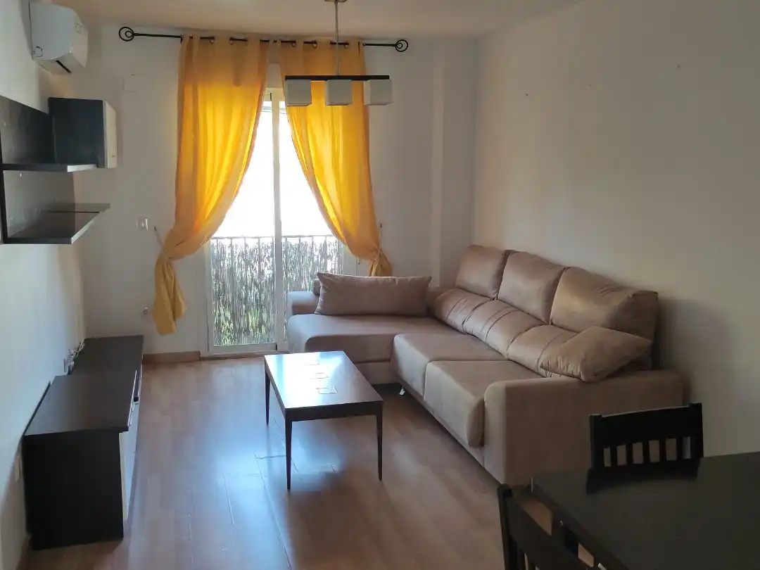 Sala d'estar de Àtic en venda en Villa de Otura, Granada