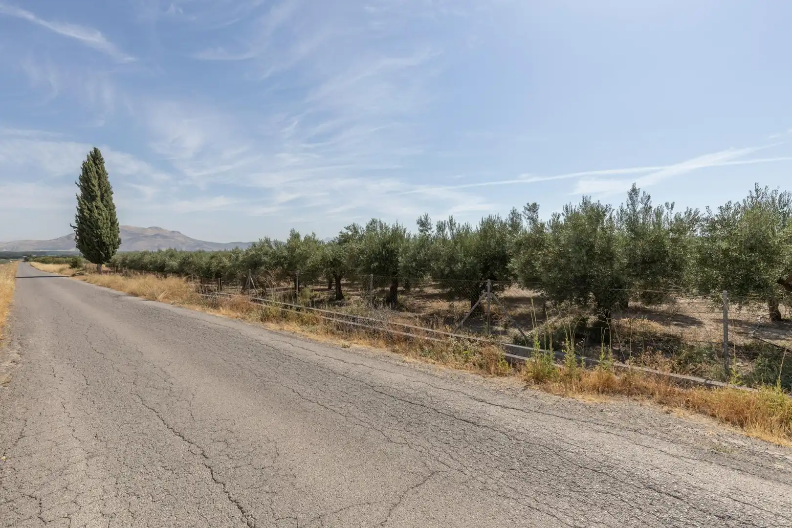 Lands and plots for sale in DISEMINADOS 0