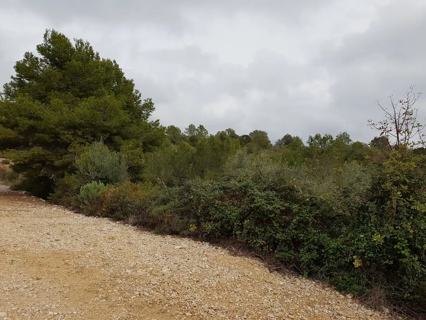 Terreny residencial en venda a Carrer Vallès 5, imagen 5