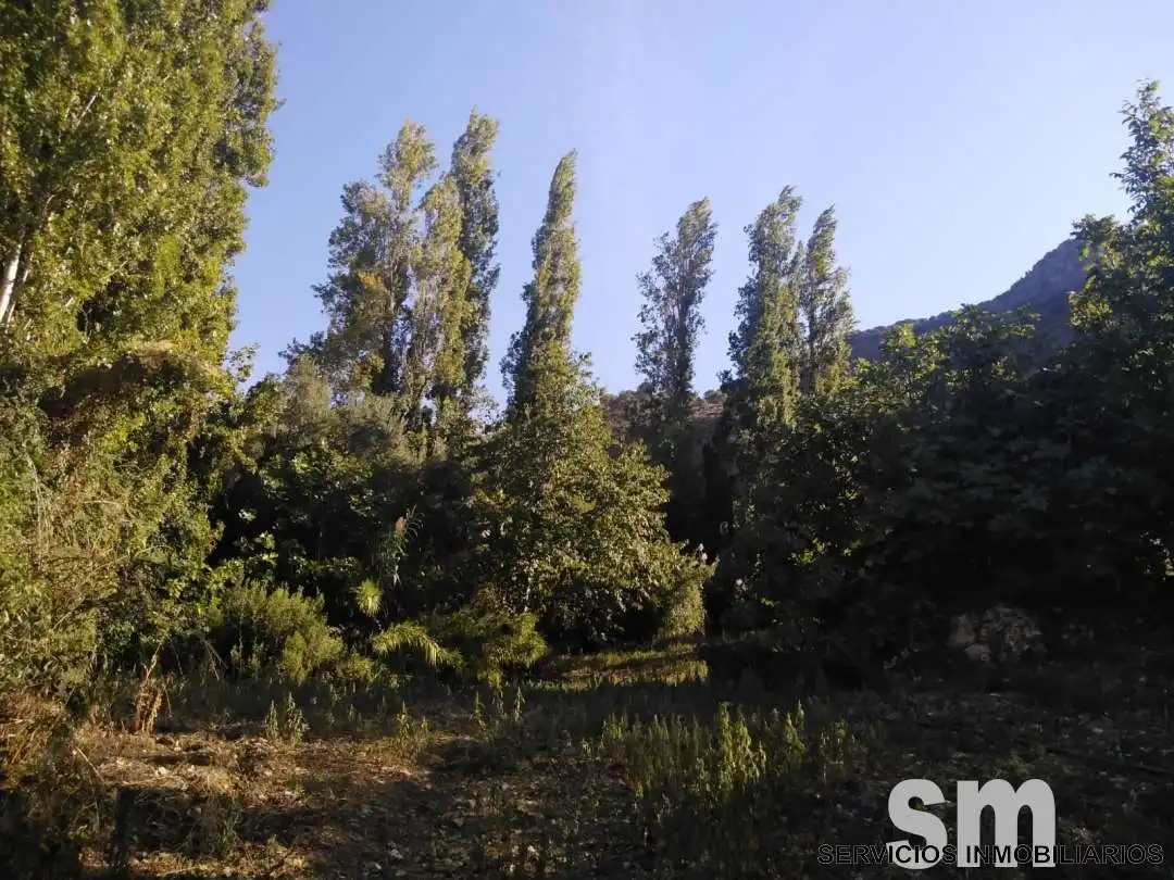 Terreno en venta en Zahara