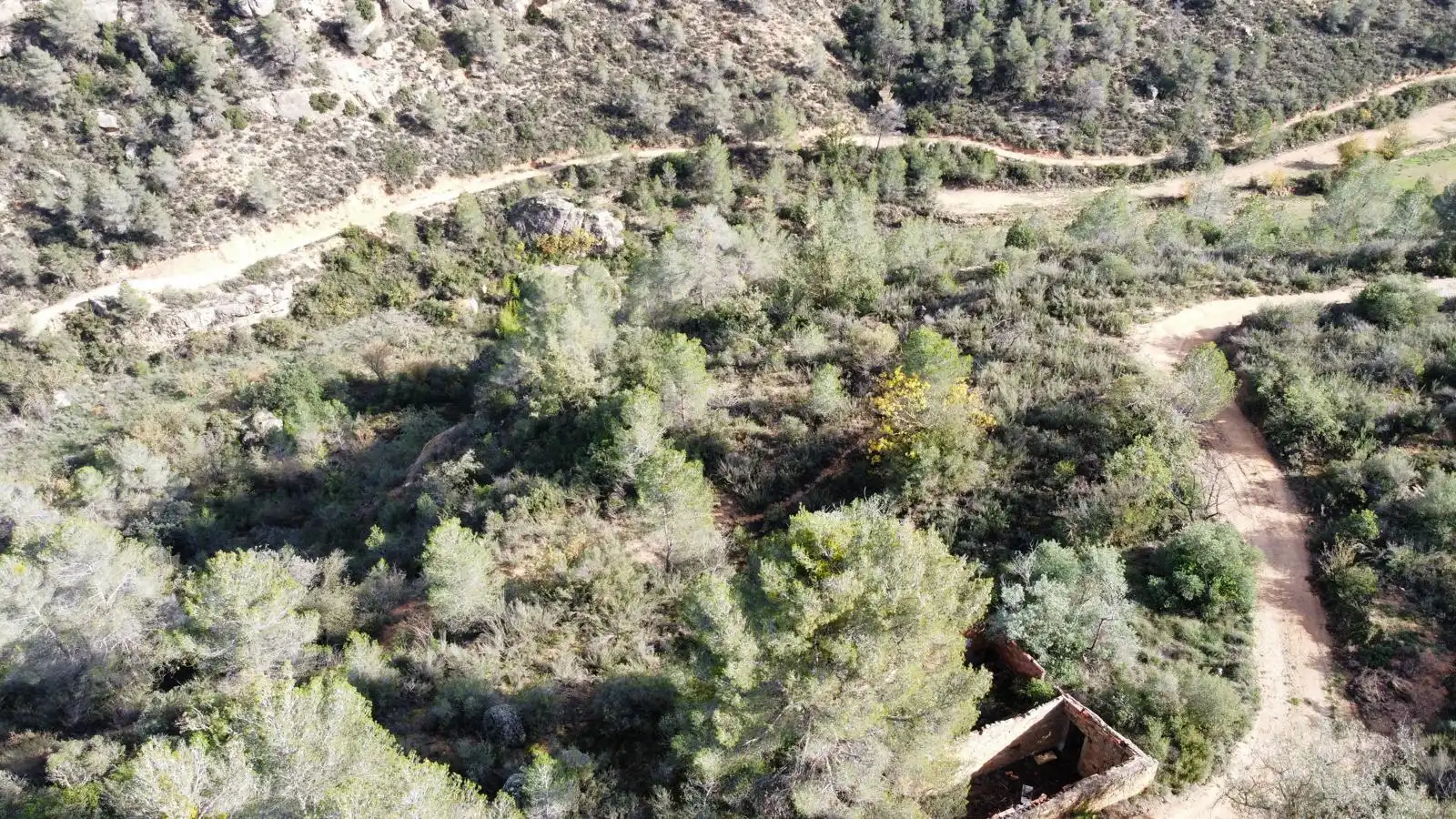 Terreno rustico in vendita a Cervià de Les Garrigues, imagen 22