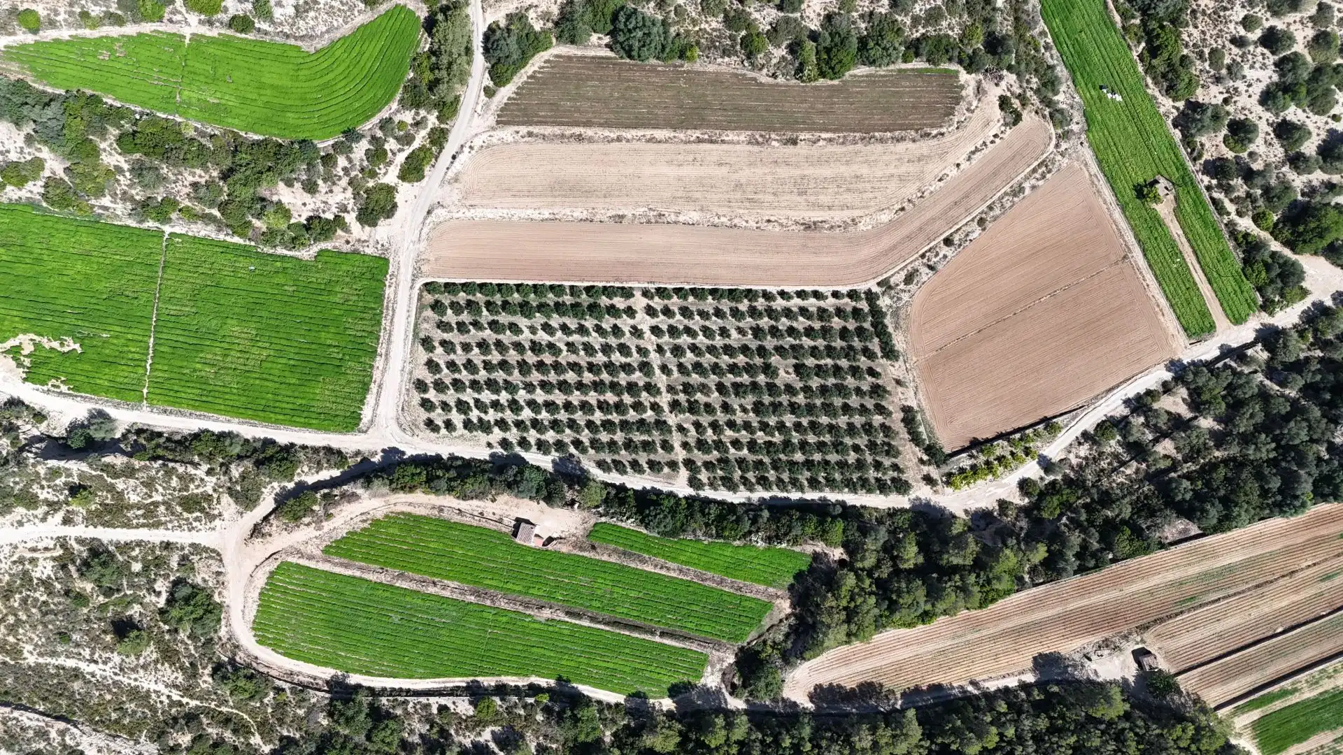 Terreno en venta en Tortosa