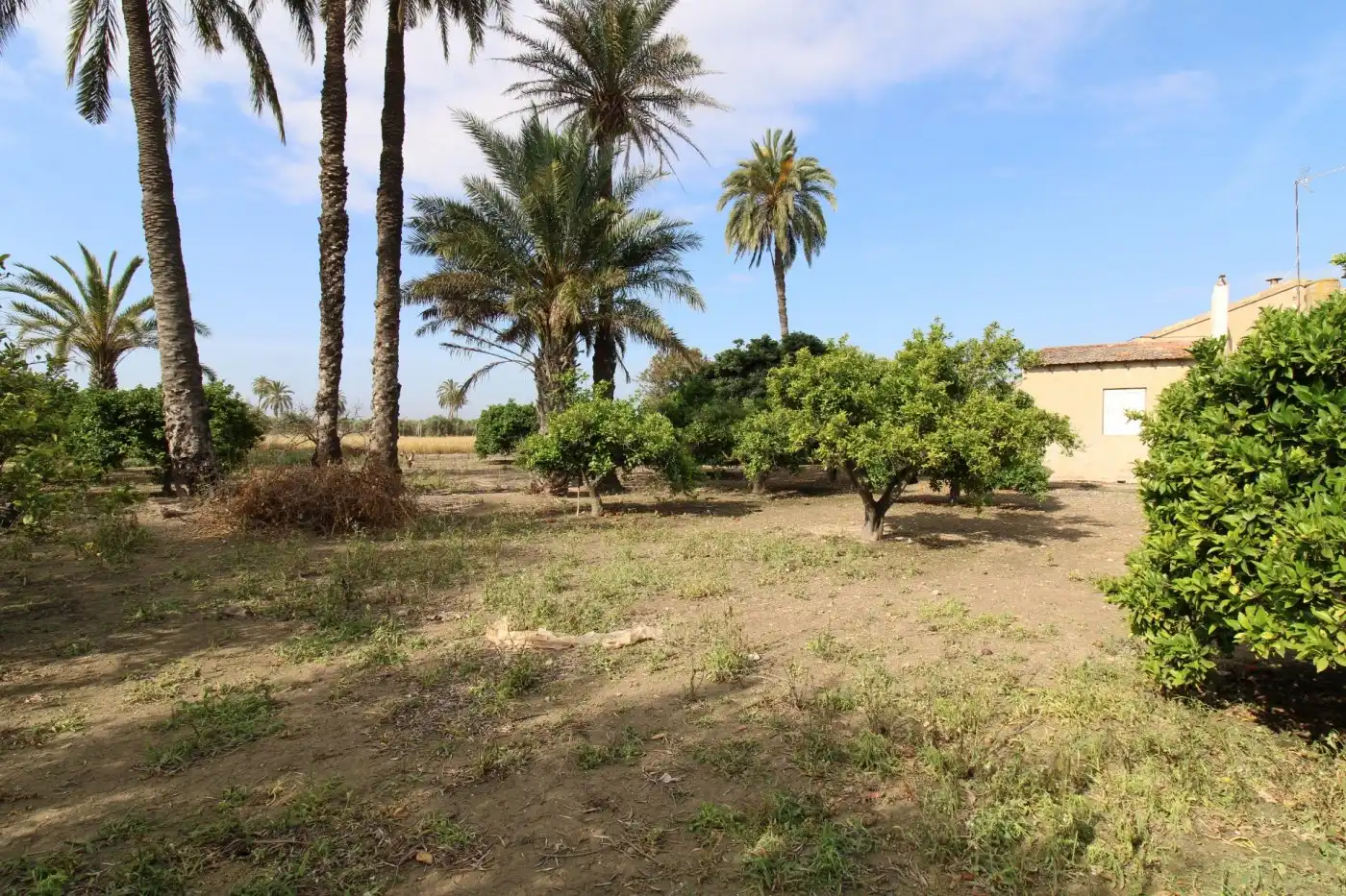 Villa con giardino in vendita a La Foia - Daimés - Asprella, imagen 36