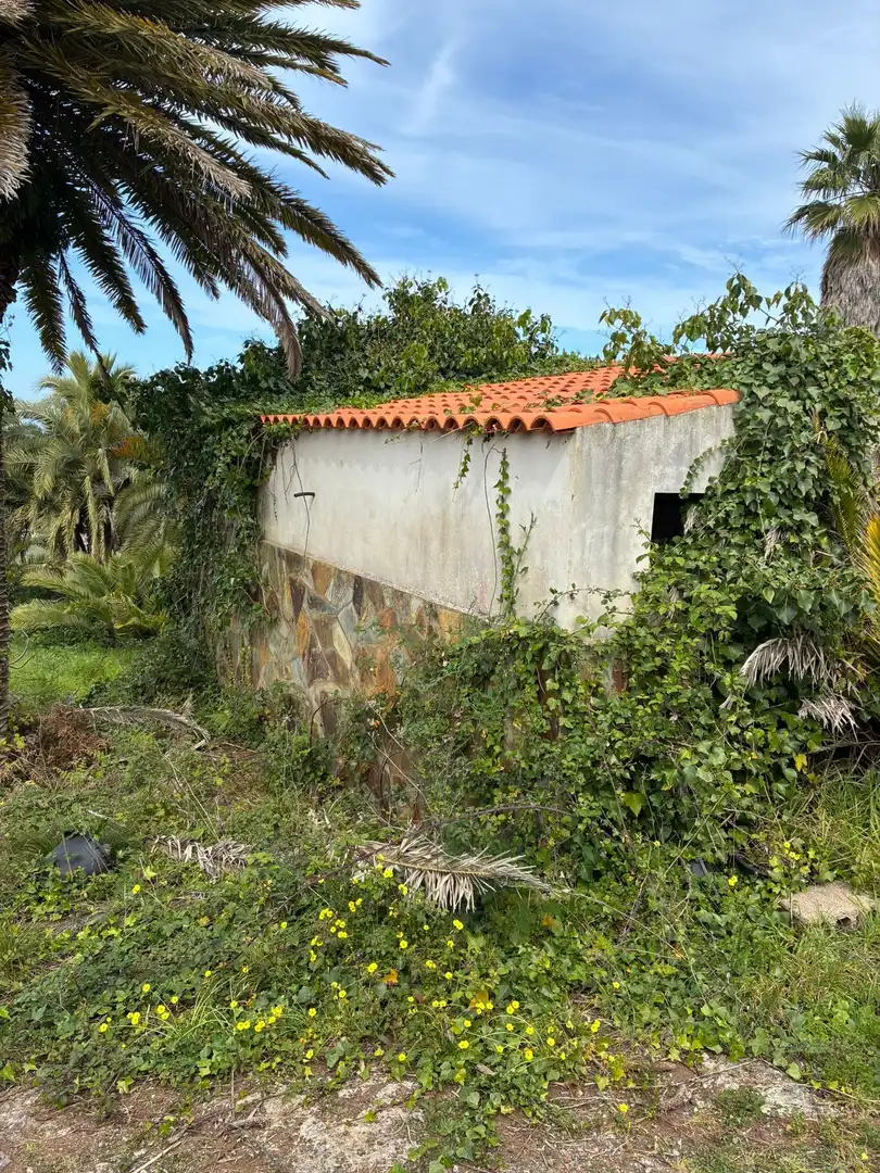 Terreny rústic en venda a El Sauzal, imagen 2