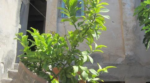 Foto 5 de Casa o xalet en venda a Novelda, Alicante