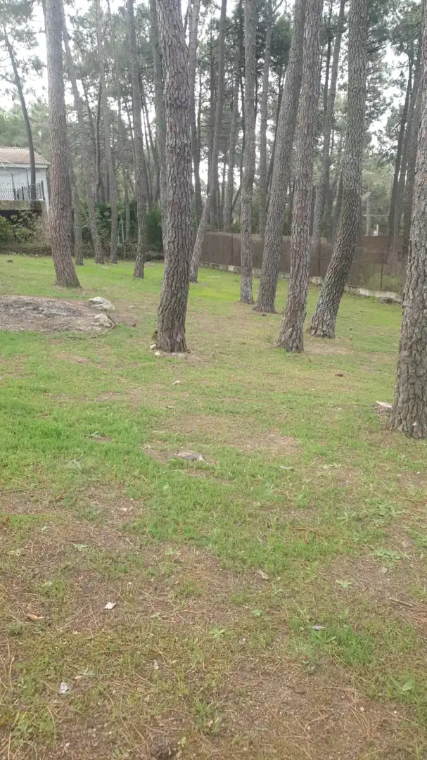 Residential land for sale in Calle Segovia 104, imagen 4