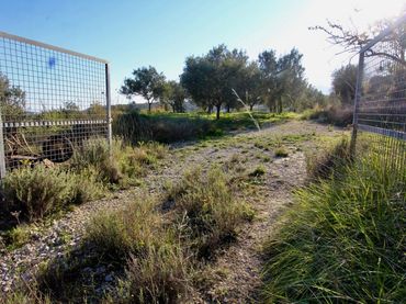Terreny rústic en venda a Benissa pueblo