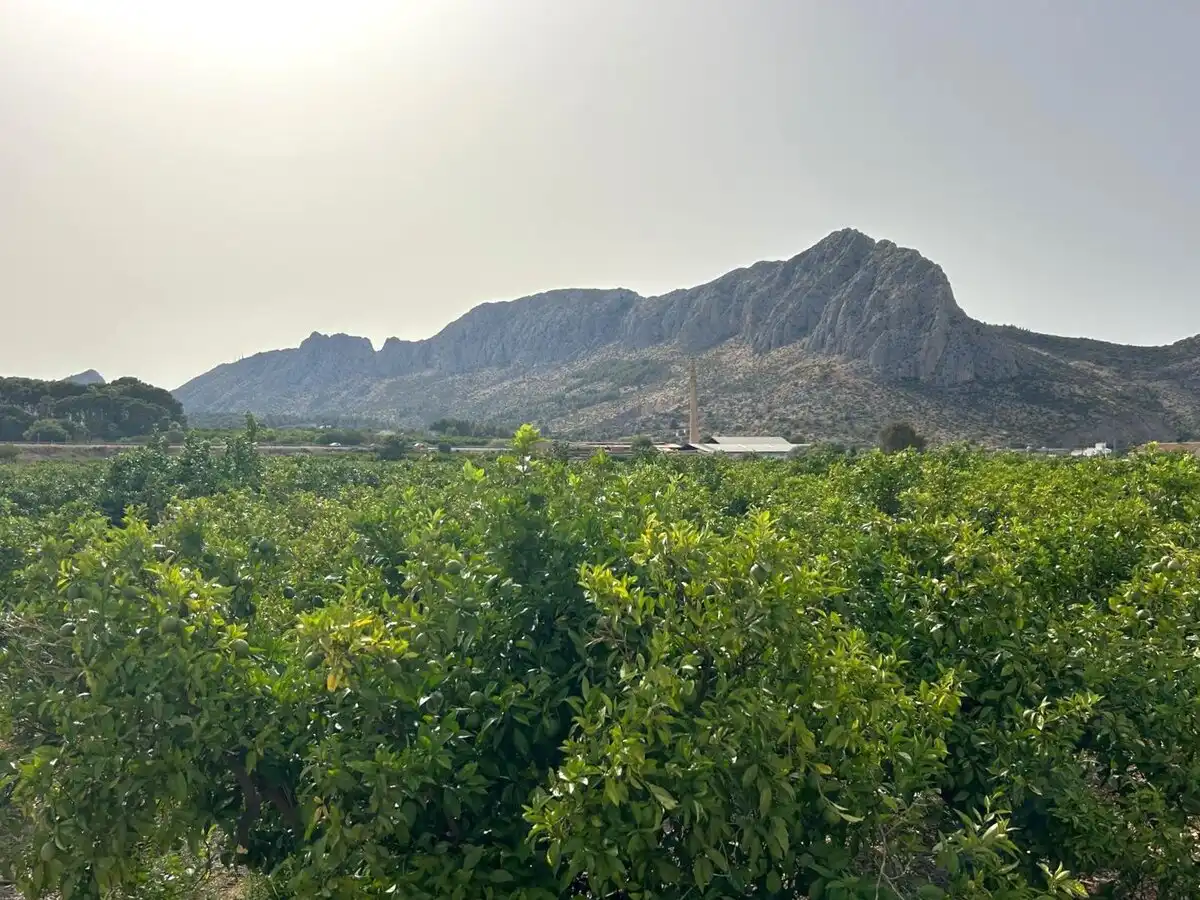 Terrenys i solars en venda a Ondara, imagen 41