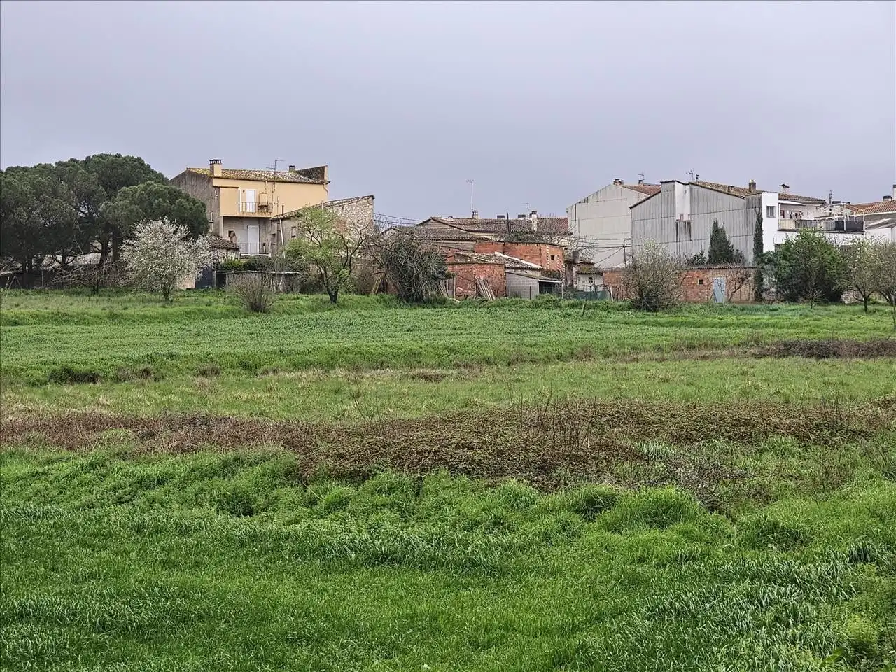 Terreny residencial en venda a El Quinta De La Casa Nova ( Cl Panedes), imagen 8
