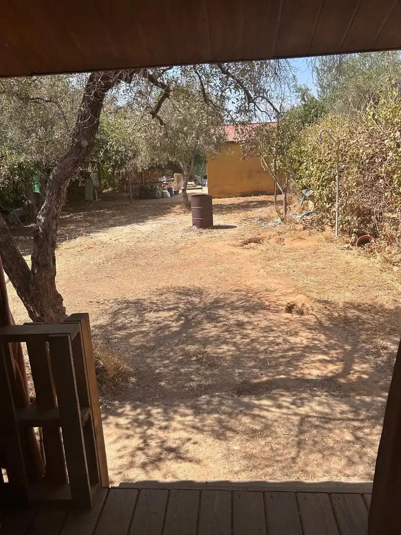 Rural land for sale in Pilas, imagen 18