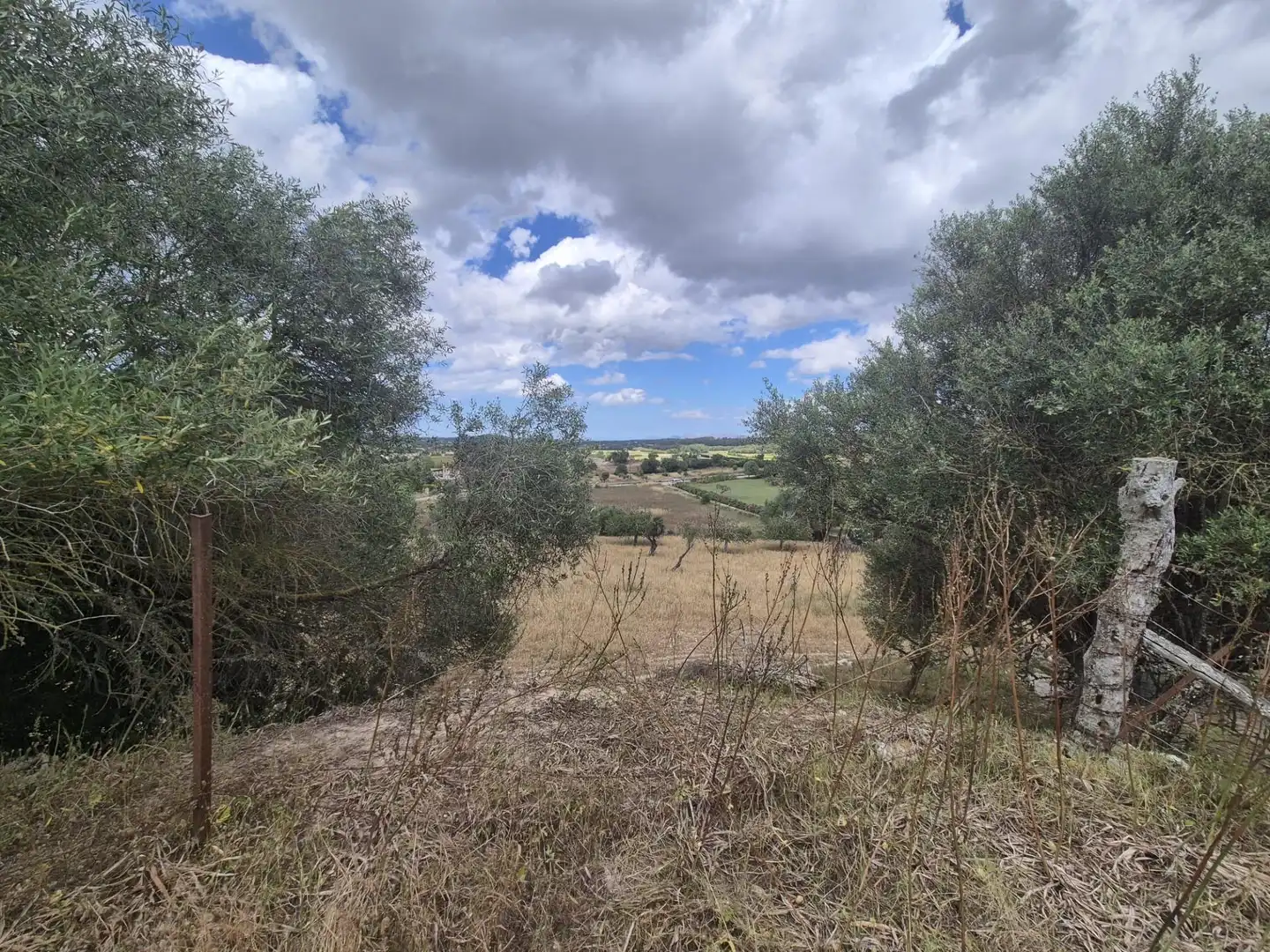 Casa rústica con jardín en venta en Sineu, imagen 18
