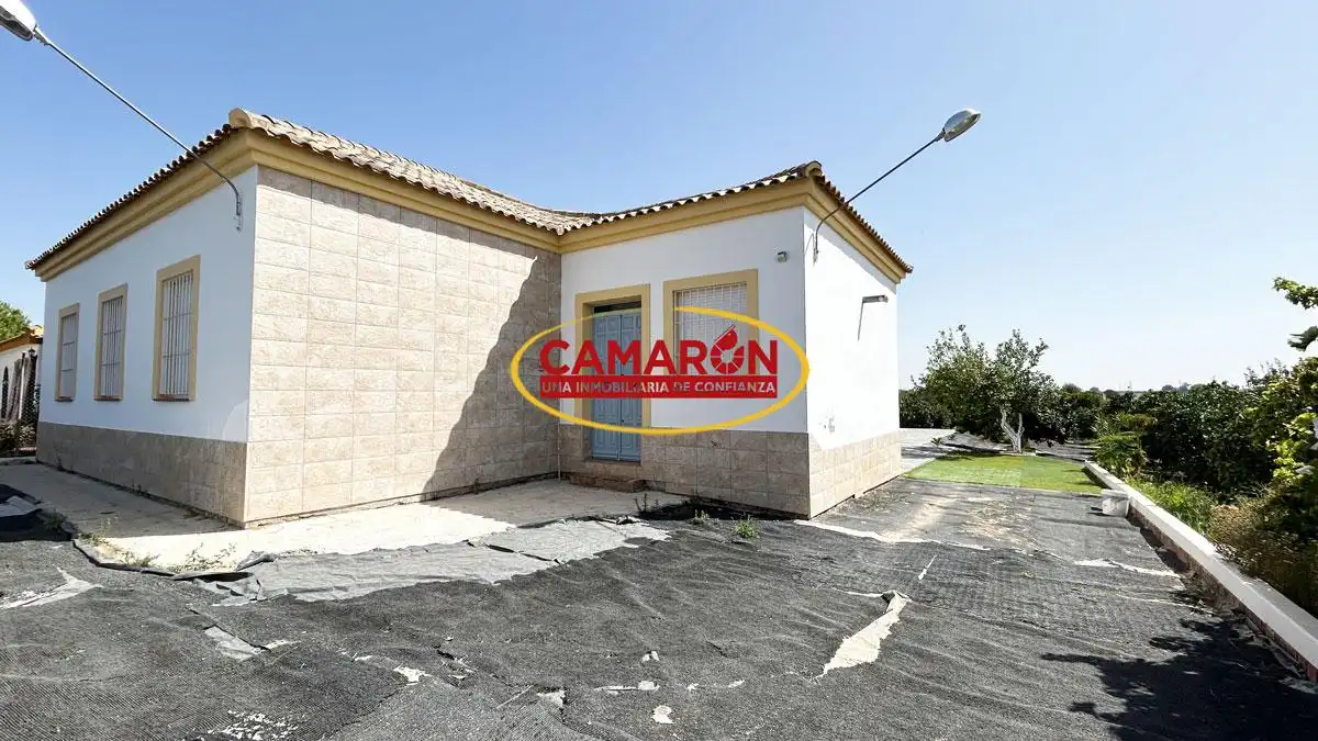 Vista exterior de Finca rústica en venda en La Puebla del Río amb Piscina