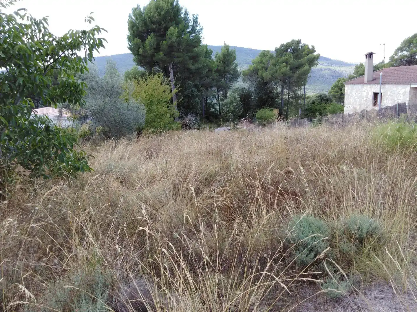 Terreno en venta en Pontils
