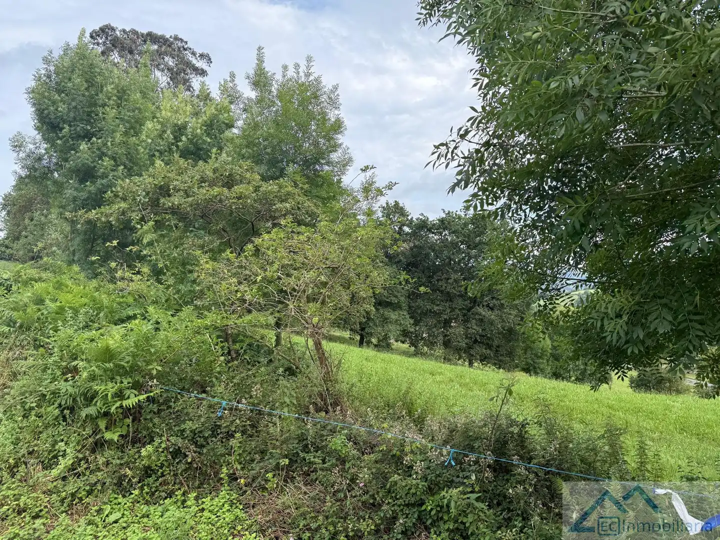 Lands and plots for sale in La Venta, imagen 5