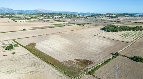 Foto 2 de Residencial en venta en Maria de la Salut, Illes Balears