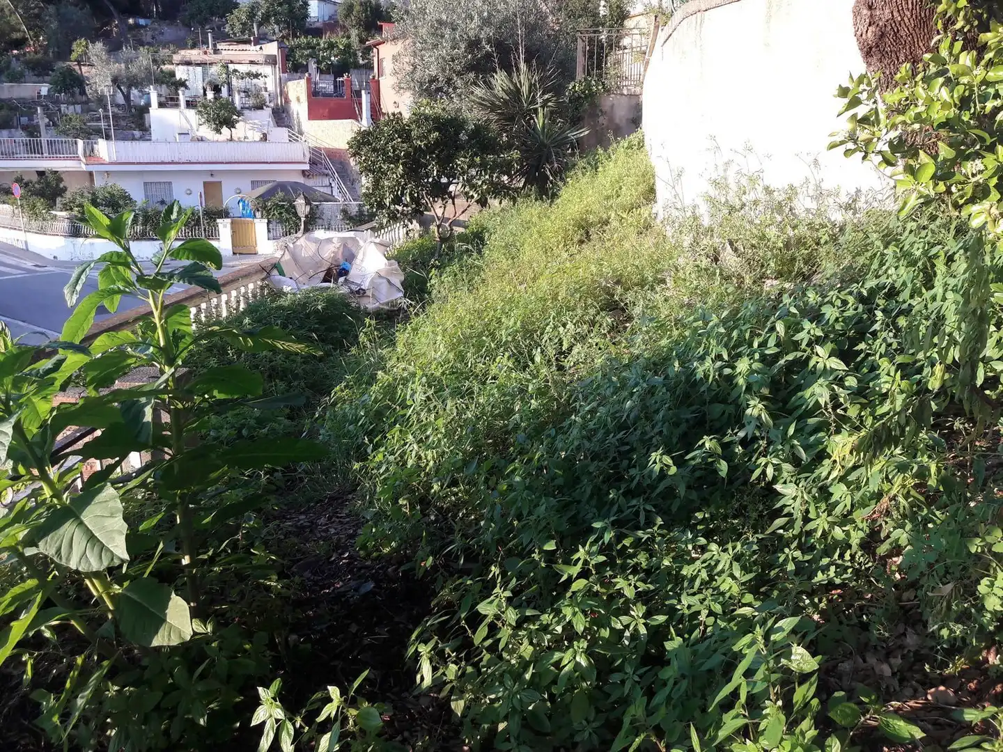 Terrenos y solares en venta en Pere Calders, imagen 22