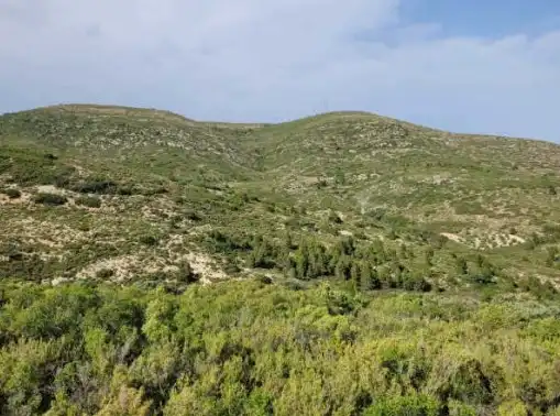Terreny rústic en venda a Pt Los Barrancos, imagen 10