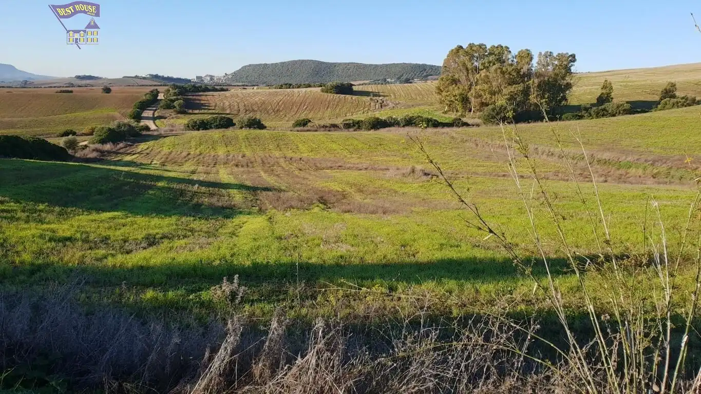 Terreny rústic en venda a Arcos de la Frontera, imagen 4