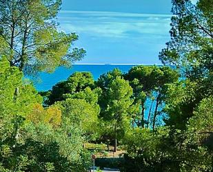 Jardí de Casa o xalet en venda en Benicasim / Benicàssim amb Jardí privat, Terrassa i Moblat