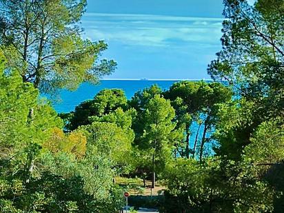 Jardí de Casa o xalet en venda en Benicasim / Benicàssim amb Jardí privat, Terrassa i Moblat