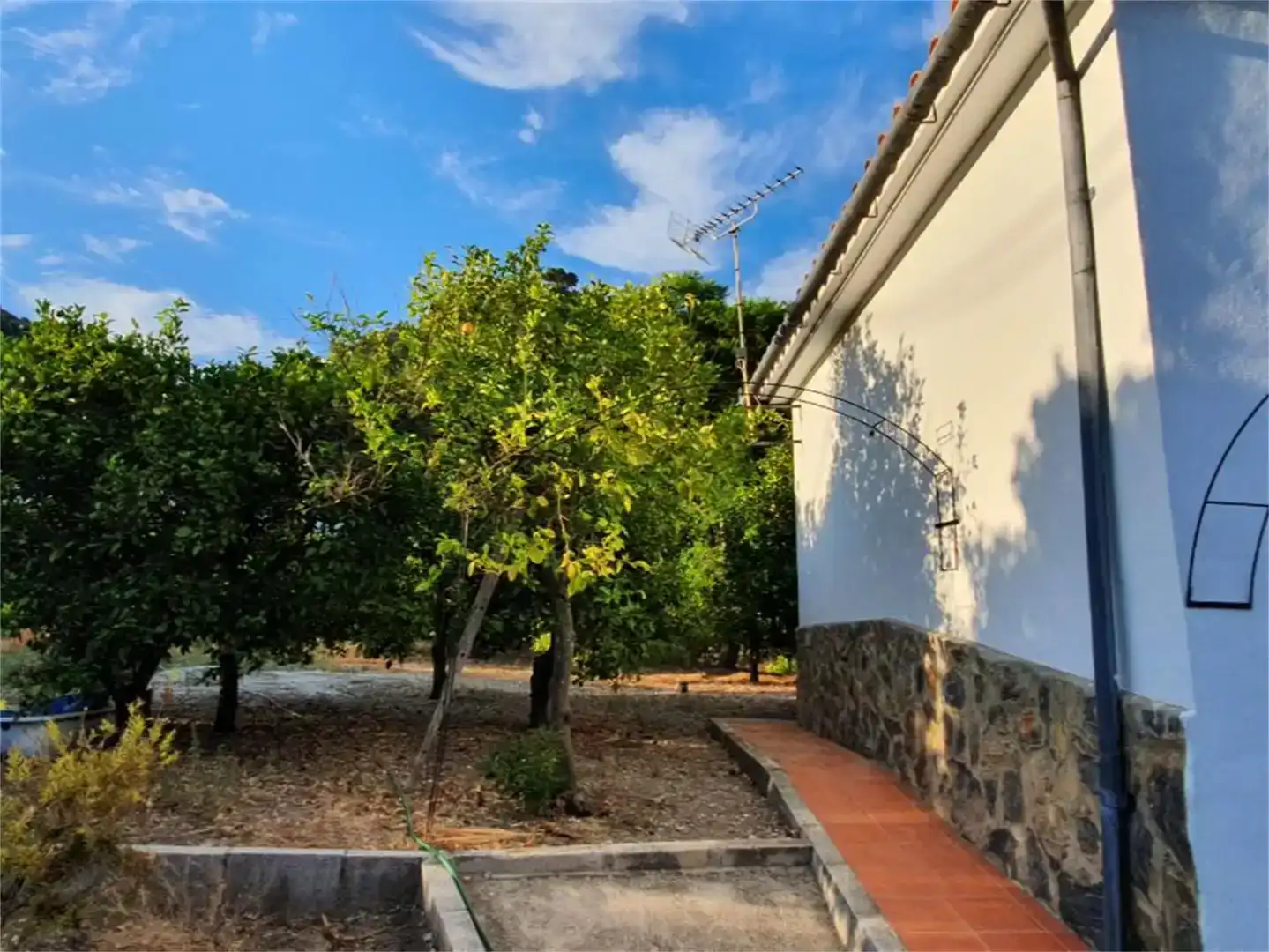 Vista exterior de Finca rústica en venda en Alozaina