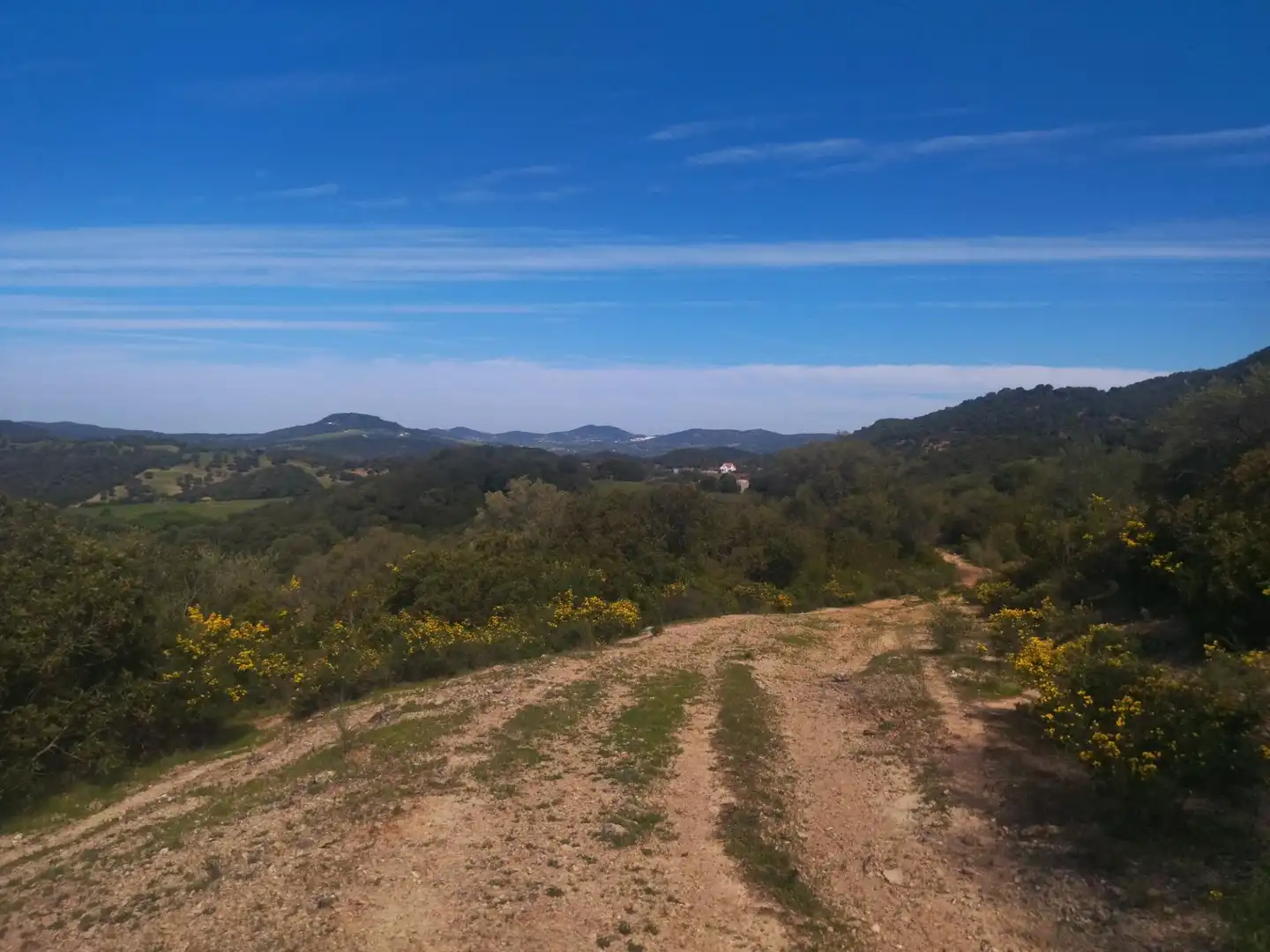 Terreno rustico in vendita a Ubrique, imagen 6