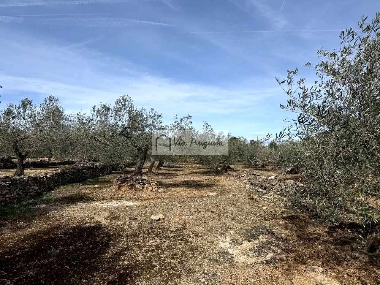 Finca rústica en venda en El Perelló