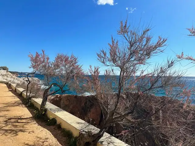 Vista exterior de Piso en venta en Sant Feliu de Guíxols con Calefacción, Amueblado y Horno
