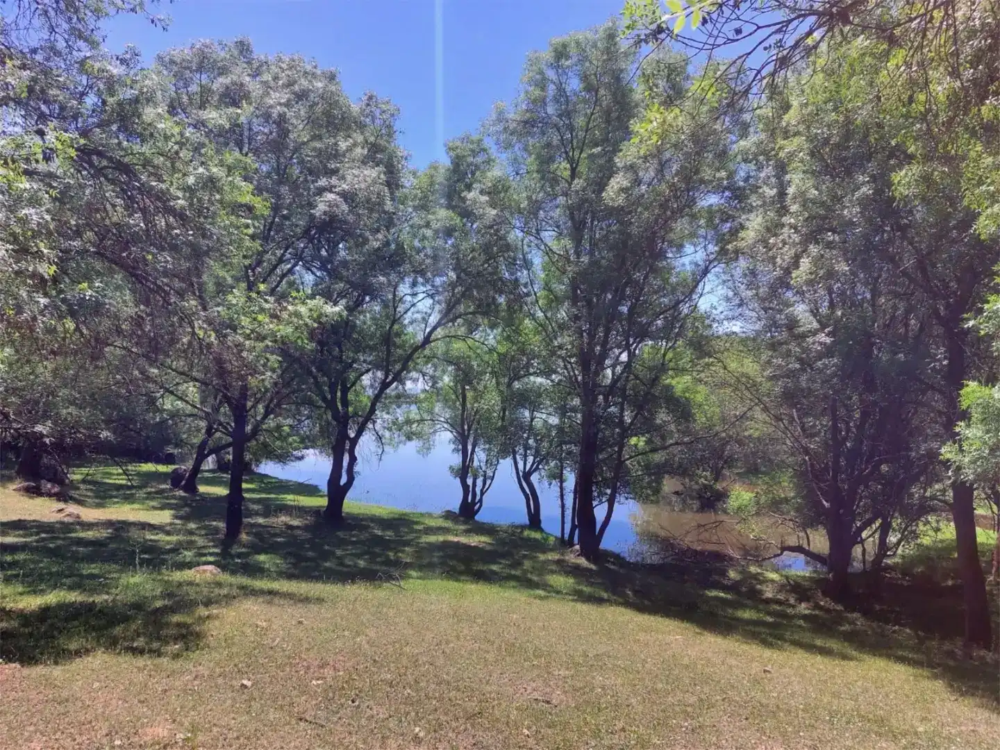 Residencial en venta en Torremenga