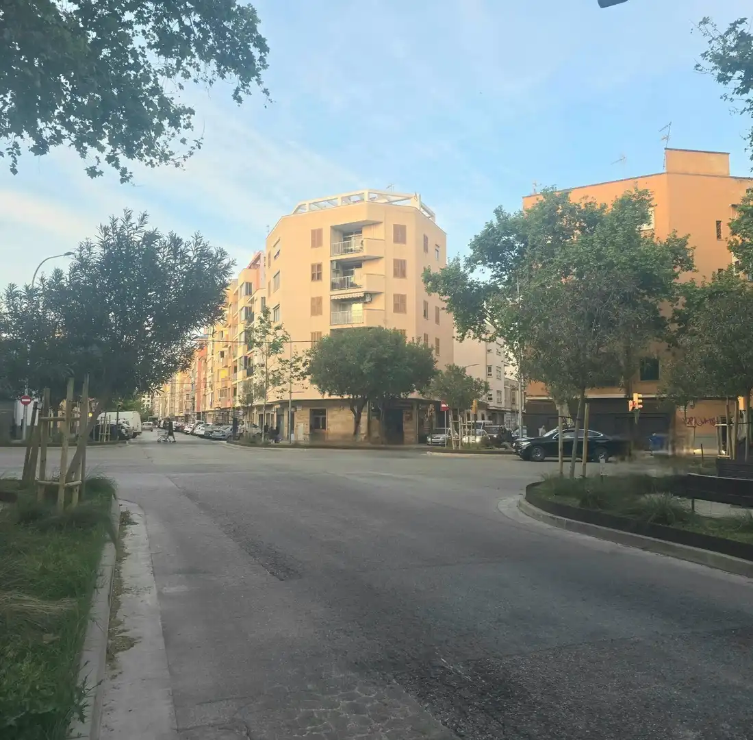 Vista exterior de Pis en venda en  Palma de Mallorca amb Terrassa