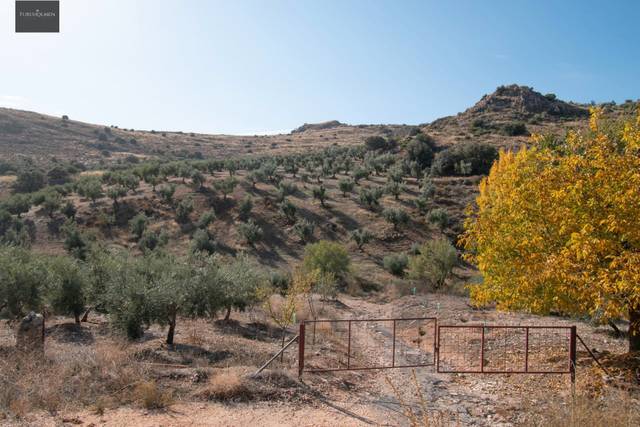 Terreno en Venta en Darro