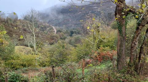Foto 5 de Finca rústica en venda a Infiesto - Berones, 30, Piloña, Asturias