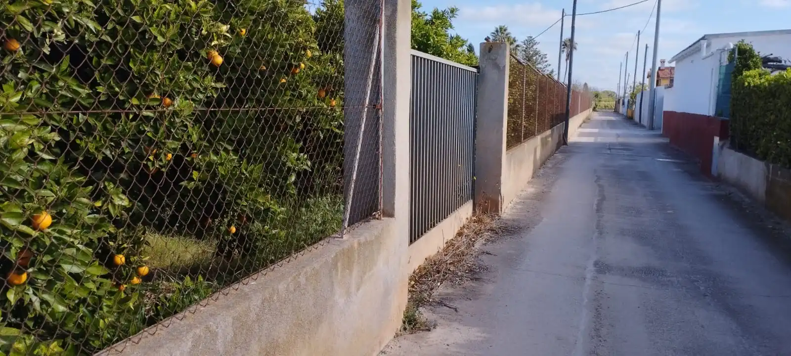 Terreno rústico en venta en Partida Collet 116, imagen 14