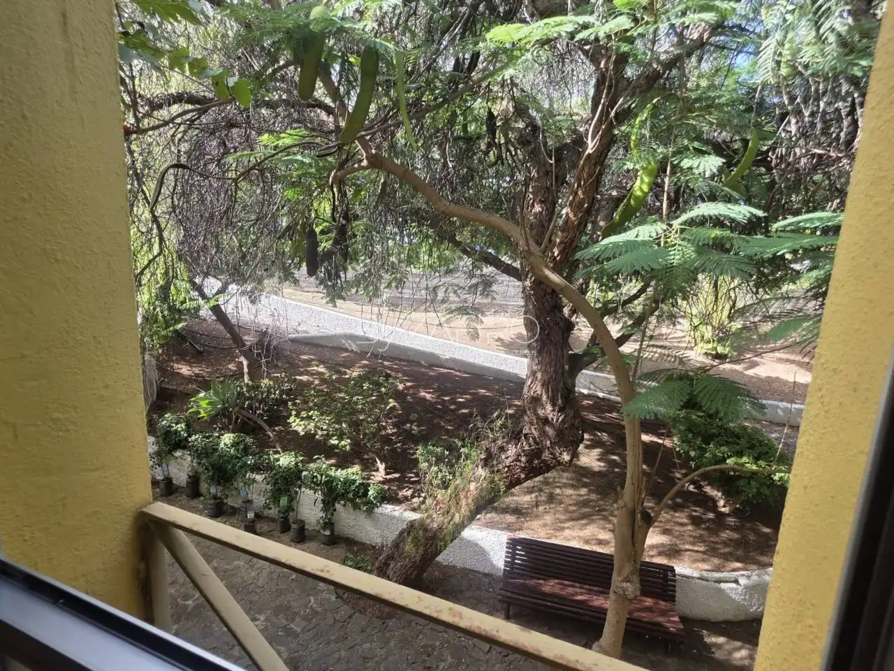 Jardí de Casa o xalet en venda en Buenavista del Norte amb Terrassa