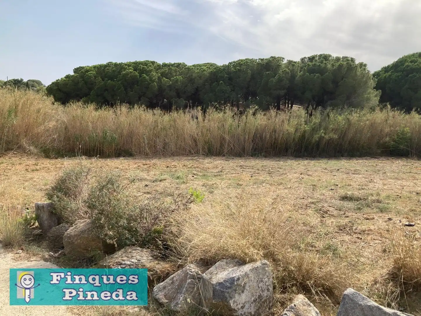 Rural land for sale in Calella, imagen 3