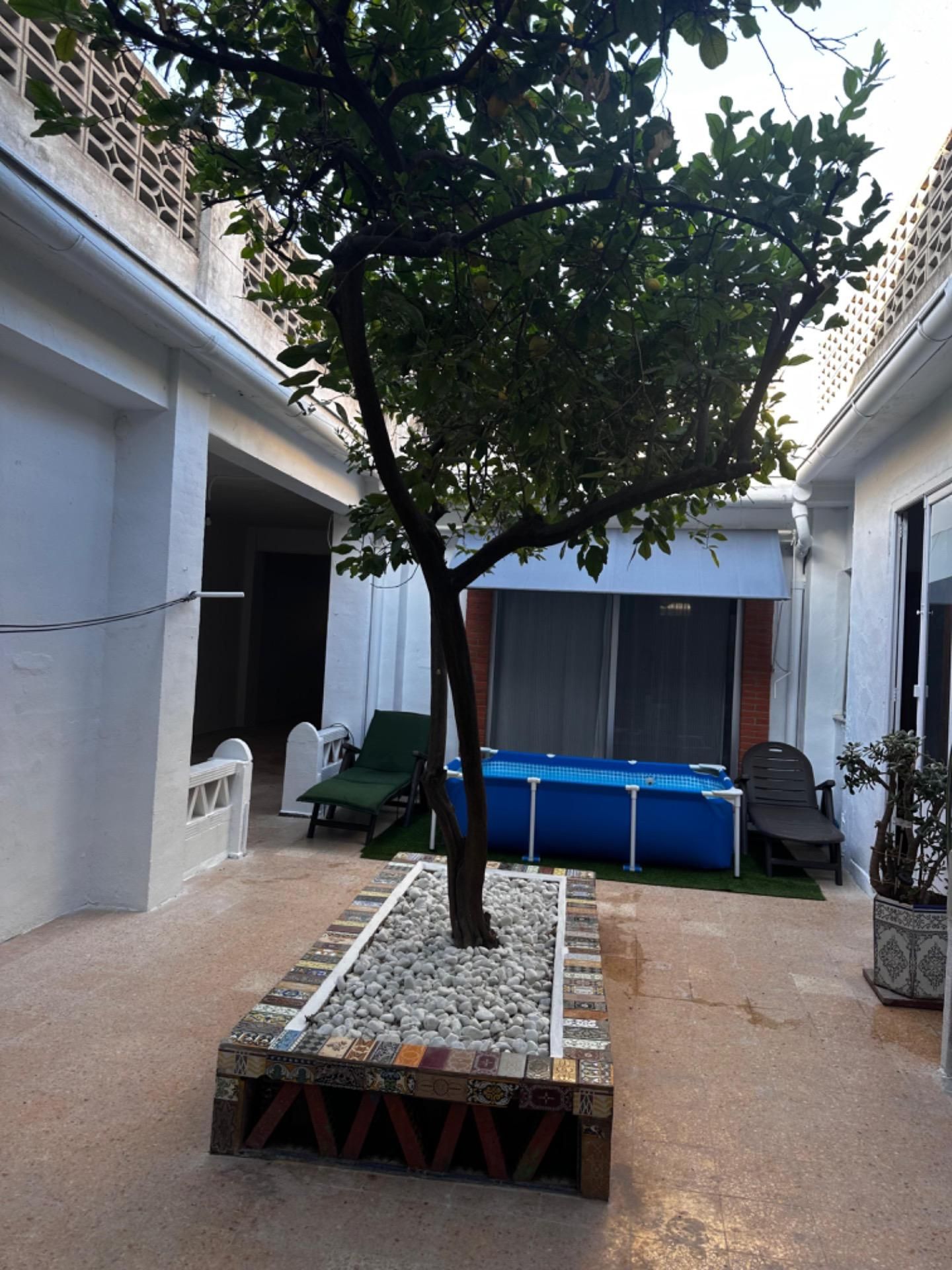 Garden of House or chalet to rent in Carlet  with Air Conditioner, Private garden and Terrace