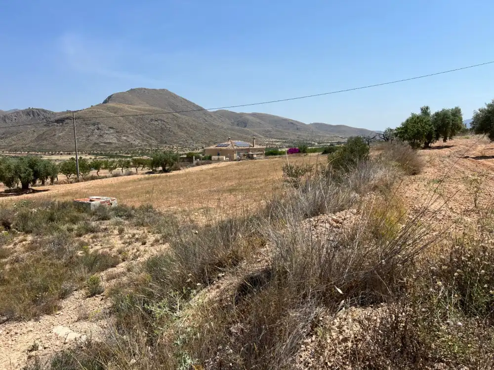 Terreny residencial en venda a La Murada - Los Vicentes, imagen 5