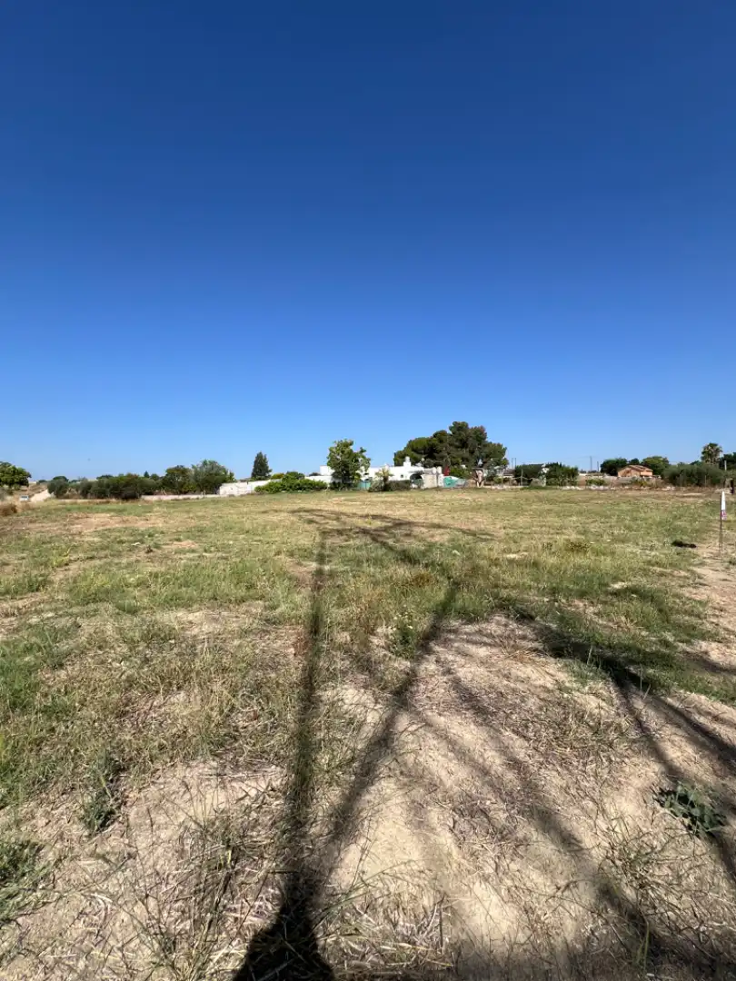 Rural land for sale in Almensilla, imagen 9